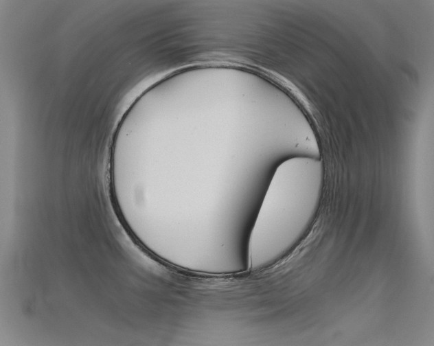 X0000115821387200911131057