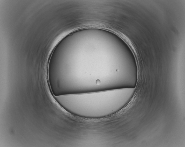 X0000115821389200911131057