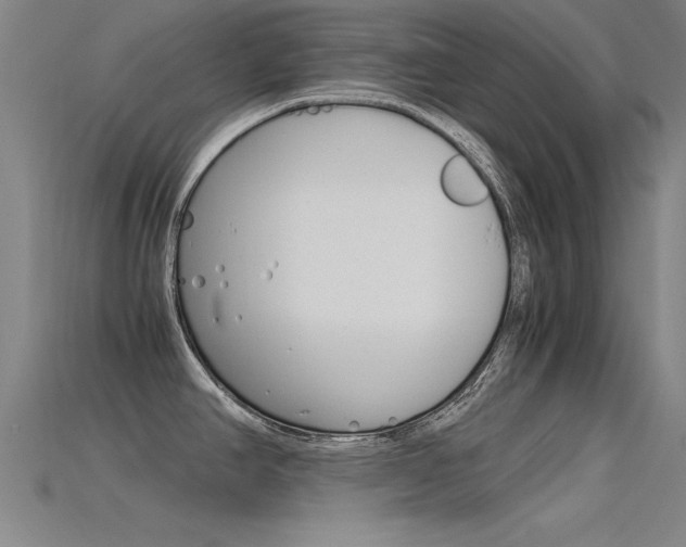 X0000115821390200911131057