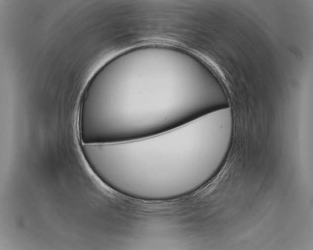 X0000115821391200911131057