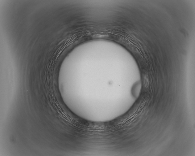 X0000115821393200911131056