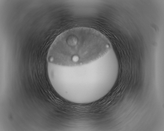 X0000115821394200911131056