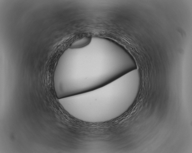 X0000115821398200911131056