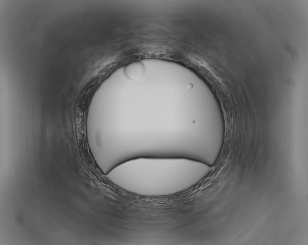 X0000115821399200911131056