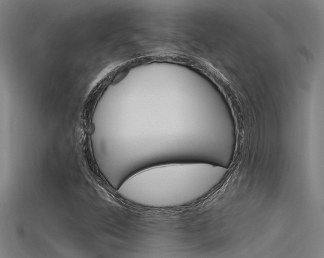 X0000115821400200911131056