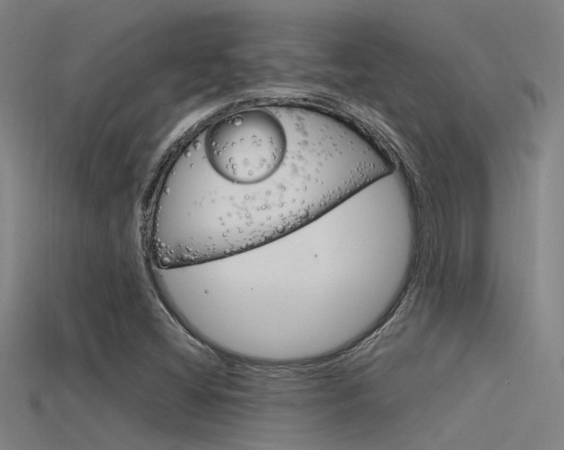 X0000115821404200911131056