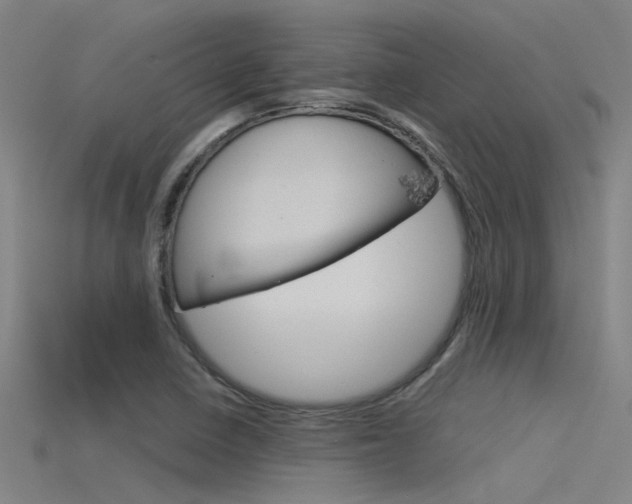 X0000115821410200911131056