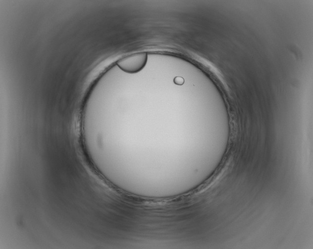 X0000115821415200911131056