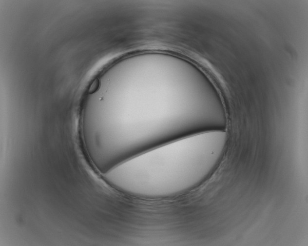 X0000115821416200911131056
