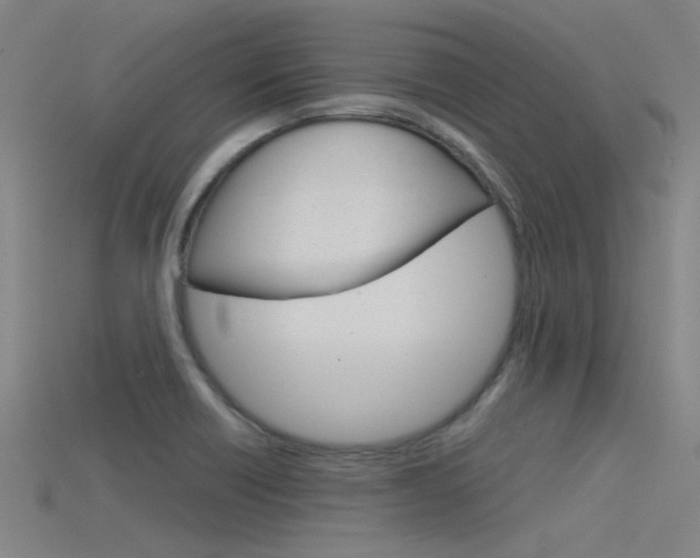 X0000115821418200911131056