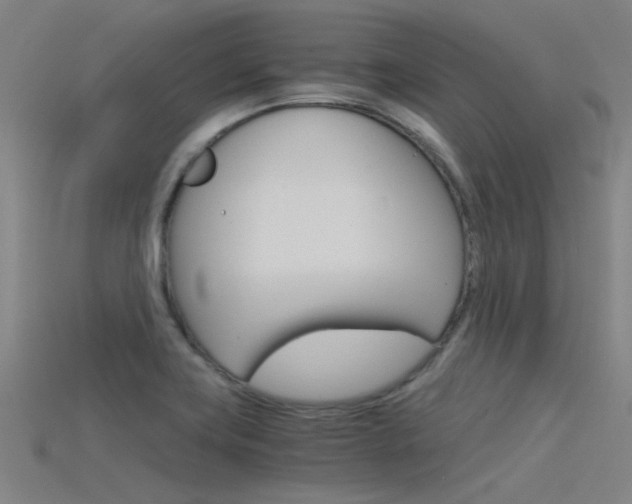 X0000115821419200911131056