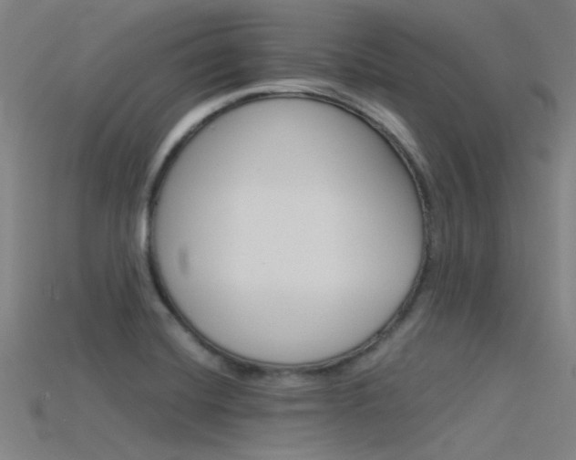 X0000115821420200911131056
