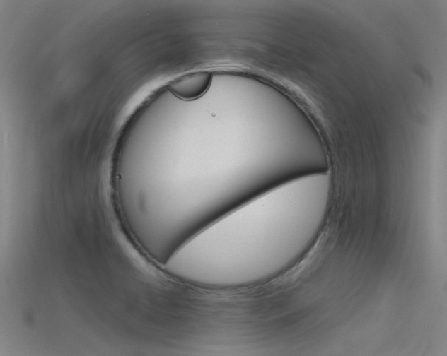 X0000115821422200911131056