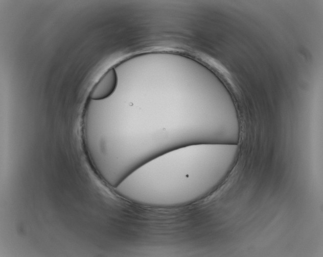 X0000115821423200911131056