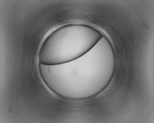 X0000115821424200911131056
