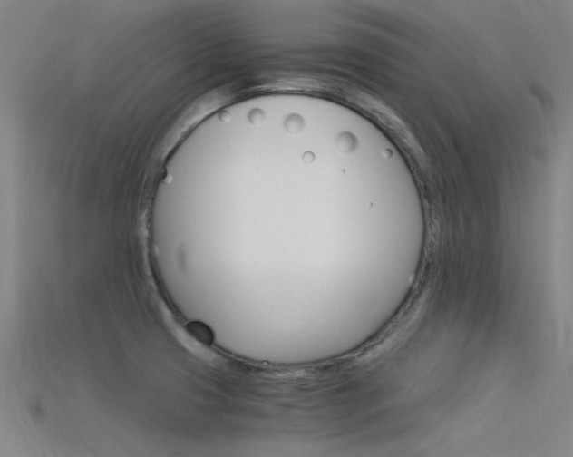 X0000115821425200911131056