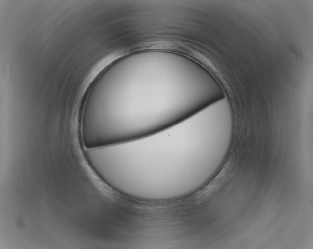 X0000115821426200911131056