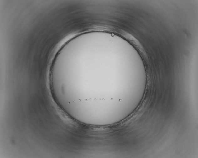 X0000115821427200911131056