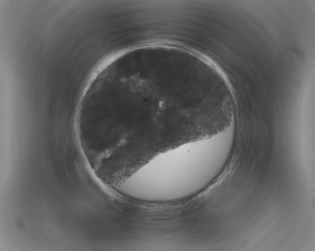 X0000115821429200911131056