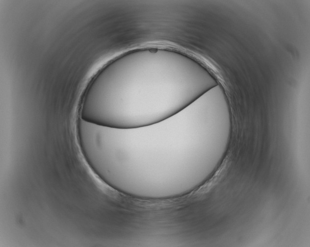 X0000115821430200911131056