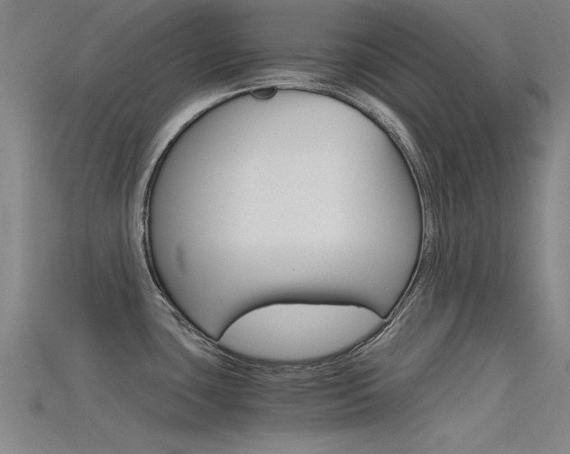 X0000115821435200911131057