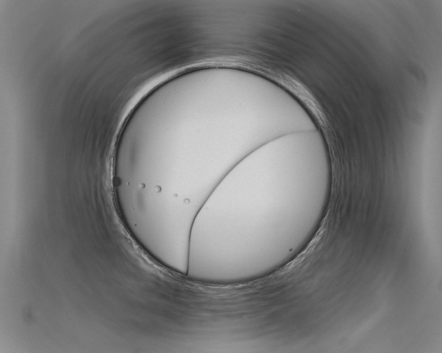 X0000115821436200911131057