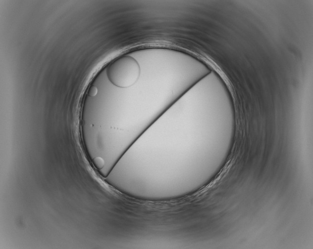 X0000115821437200911131057