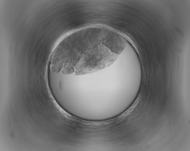 X0000115821438200911131057