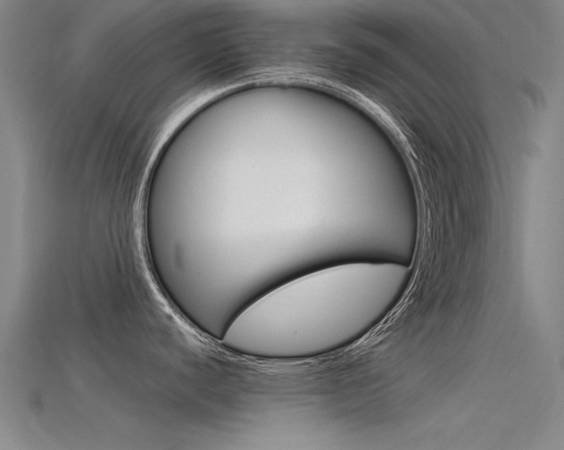 X0000115821440200911131057