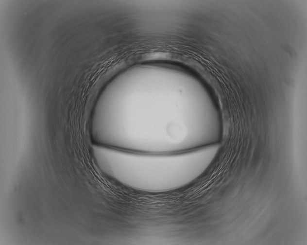 X0000115821441200911131056