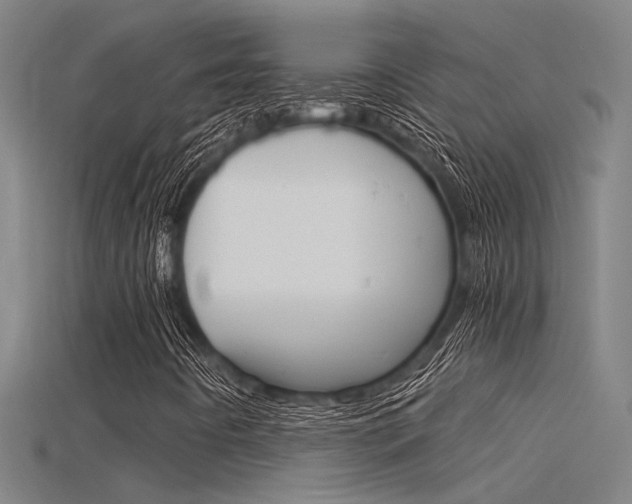 X0000115821442200911131056