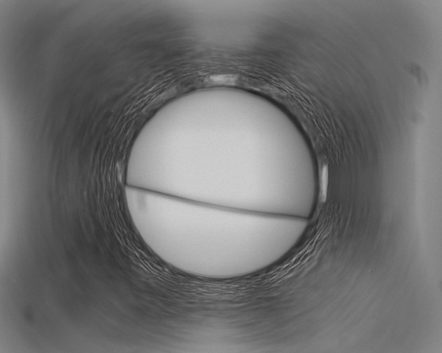 X0000115821443200911131056