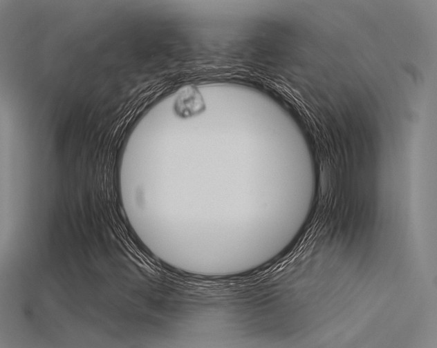 X0000115821444200911131056