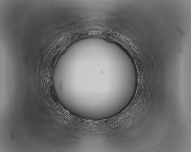 X0000115821445200911131056