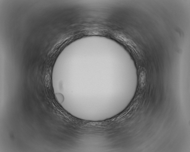 X0000115821446200911131056