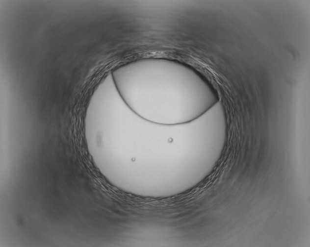 X0000115821447200911131056