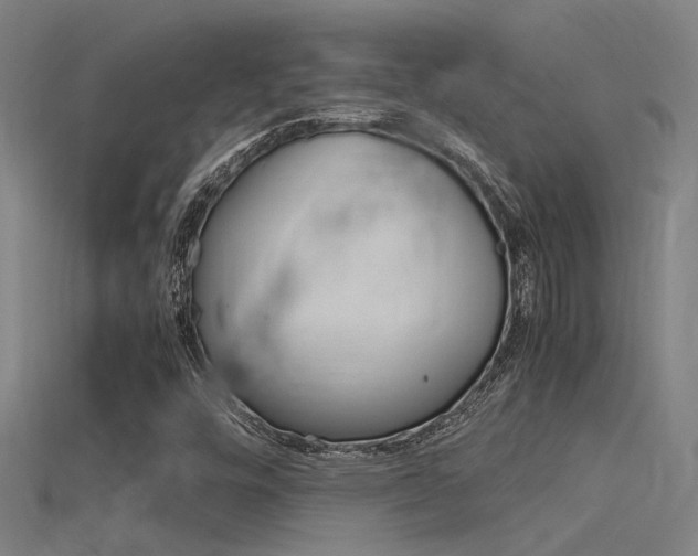 X0000115821448200911131056