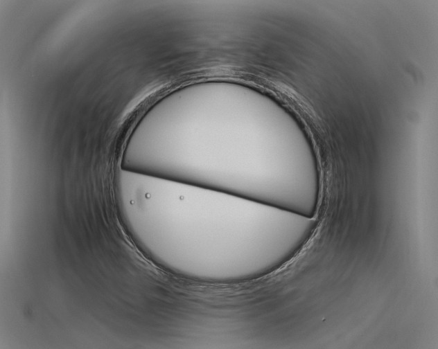X0000115821450200911131056