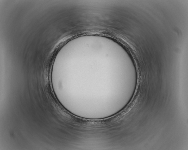 X0000115821451200911131056