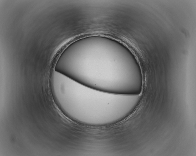 X0000115821452200911131056