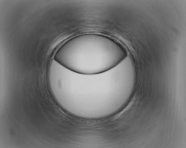 X0000115821453200911131056