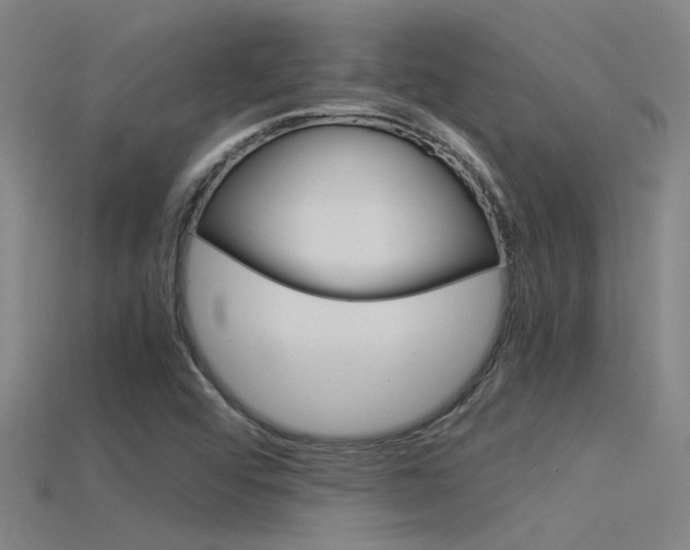 X0000115821456200911131056
