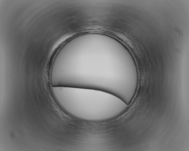 X0000115821458200911131056
