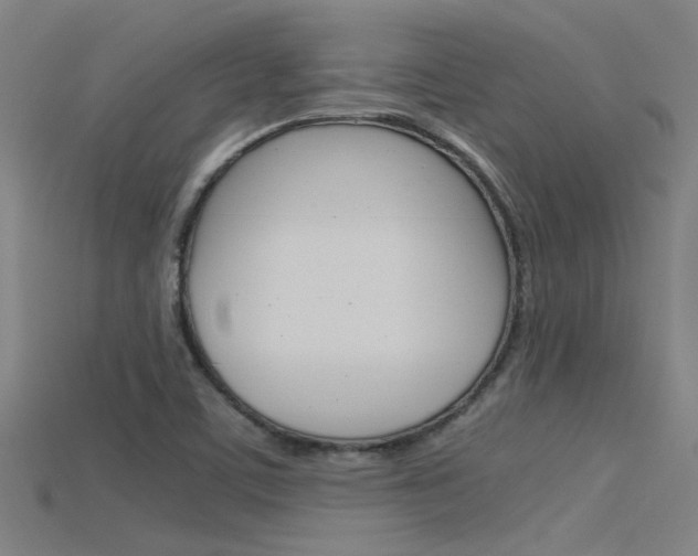 X0000115821459200911131056
