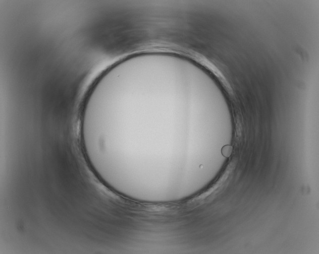 X0000115821462200911131056