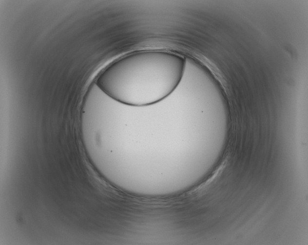 X0000115821465200911131056