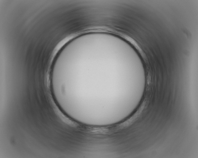 X0000115821466200911131055