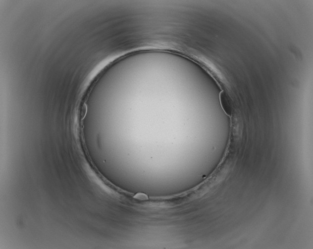 X0000115821468200911131055