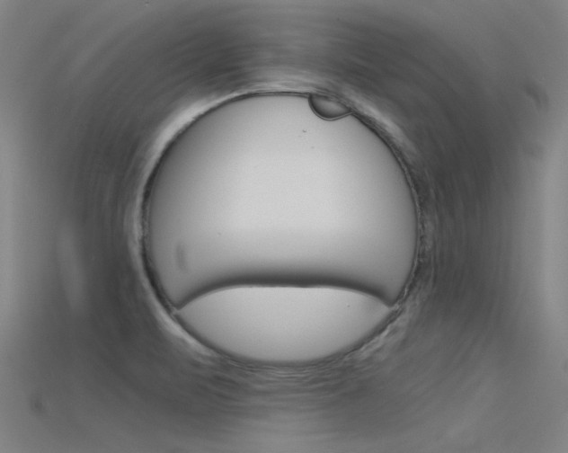 X0000115821471200911131055