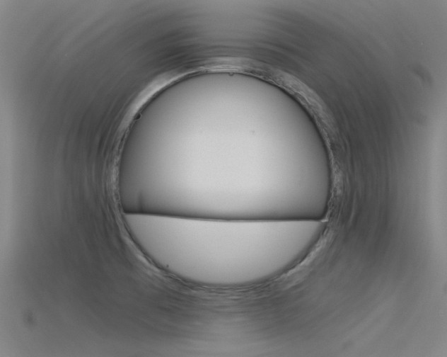 X0000115821473200911131055